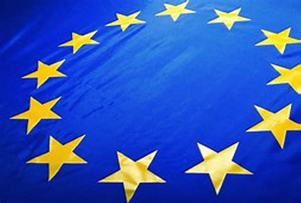 EU flag sized